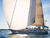 Cruising sail : Spinnaker, Gennaker