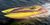 Motor-boats : Offshore powerboats, Jet-skis