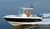 Motor-boats : Open boats, Center consoles, Walkarounds