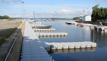 dock finger