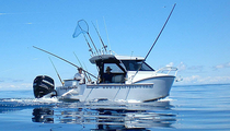 sport-fishing cabin-cruiser
