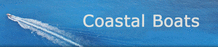 Thai Kiwi Marine logo