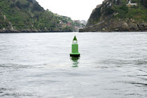 beacon buoy (high seas, with signalling light) A800 Balizamar 