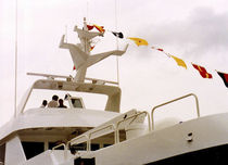 boat radar and Satcom antenna mount (custom-made)  Mar Quipt