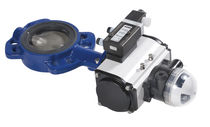 butterfly valve for bulk carrier ships  Cargomaxx 