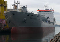 cargo ship : cement ship (shipyard) 15500 DWT / M/V NAFTOCEMENT XVIII Selah Makine Ve Gemicilik End&uuml;stri Tic A.S.