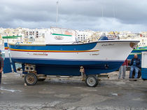 classic boat : in-board day-cruiser Pro fisher 22  TRMC Boats