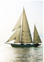 classic sail (custom-made) SY SYLVA ROLLY TASKER SAILS