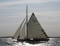 classic sail  Gowen Ocean Sailmakers