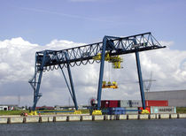 container gantry crane (ship-to-shore) RMG FEMONT