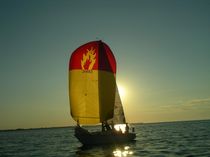 cruising sail : asymmetric spinnaker  Haarstick