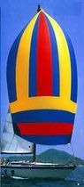 cruising sail : asymmetric spinnaker  Lee Sails