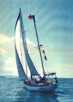 cruising sail : genoa  Vele Zadro