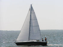 cruising sail : genoa (furling)  OUTSIDER SAILS