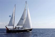 cruising sail : jib (custom-made)  Lee Sails