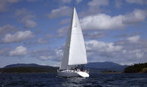 cruising sail : mainsail  Yager Sails