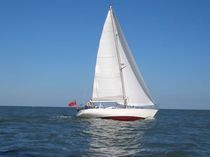cruising sail : mainsail  Gowen Ocean Sailmakers