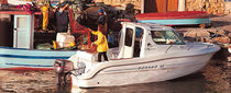 day fishing boat DORADO 22 Sessa Marine