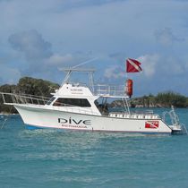 dive-boat 42' DIVE SPECIAL Newton Boats