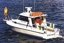 dive-boat 28' PASSENGER Delta Boats