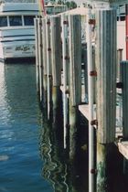 dock fender  Mooring Products Int Inc.