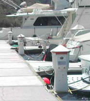 dock power and water pedestal (with integrated light) POWERPORT HyPower