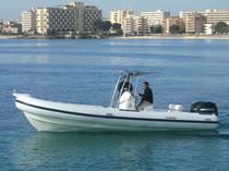 equipped rigid inflatable boat (outboard, twin engine, center console, T-Top) 800 D Scanner