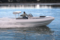 equipped rigid inflatable boat (outboard, center console, roll-bar)  McMullen & Wing