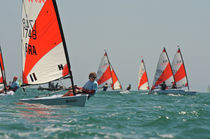ISAF class sailing dinghy : RS TERA RS TERA LDC Racing Sailboats