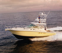 motor-boat : flybridge express-cruiser 38 EXPRESS Rampage