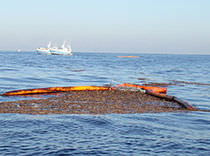 oil trawl THOMSEA Reynaud Cauvin Yvose