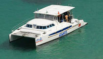 power catamaran : express-cruiser (custom-made) TURIMCAT 430 Dolphin