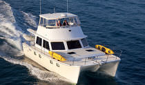 power catamaran : flybridge express-cruiser (2 cabins) P-47 Maine Cat