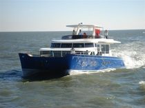 power catamaran : luxury flybridge trawler motor-yacht APOLLO 65 Selene