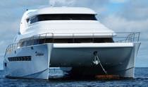 power catamaran : luxury motor-yacht TRAWLER 700 Dolphin