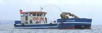 power catamaran : professional aquaculture boat KATPAH 52C Arya Shipyard