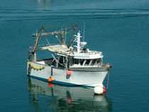 professional coastal fishing-boat (multi-purpose) TBpro-32 TideBreaker
