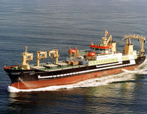 professional fishing-vessel (shipyard) 9436 DWT / MAART JE THEADORA Factorias Juliana, S.A.U.