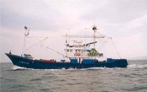 professional fishing-vessel : tuna seiner (shipyard) KAXIMIRONA Balenciaga Shipyard