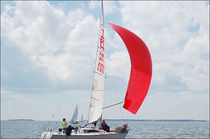 racing keelboat sail : spinnaker (one-design) X-79 WB-Sails