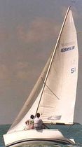 racing keelboat sail : jib (one-design) IDEAL 18 Haarstick