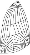 racing sail : asymmetric spinnaker  Shore Sails