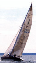 racing sail : mainsail  Haarstick