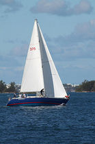 racing sail : mainsail  Yager Sails