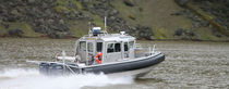 rigid inflatable boat (utility, in-board, with enclosed cockpit) RAIV  Almar