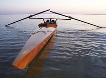 rowing shell : recreational single scull OXFORD SHELL ARWEN MARINE