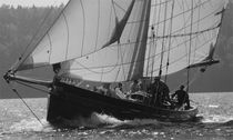 sailboat : classic sailing-yacht (custom-made) Nigel Irens, Westernman, ELEANOR MARY Covey Island Boatworks