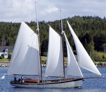 sailboat : classic sailing-yacht (schooner) Bristol Schooner, PAPA Covey Island Boatworks