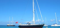 sailboat : cruising sailing-yacht (aluminium) 55� CRUISER SOFT TOP  Van Dam Nordia