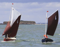 sailboat : classic open boat (wooden construction kit) La Gazelle des Sables La GAZELLE DES SABLES